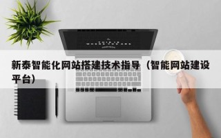 如东新泰智能化网站搭建技术指导（智能网站建设平台）